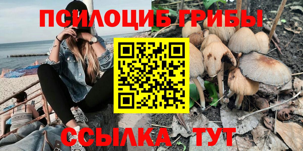 Псилоцибиновые грибы Cubensis  Вход с VPN  хочу   Альметьевск 